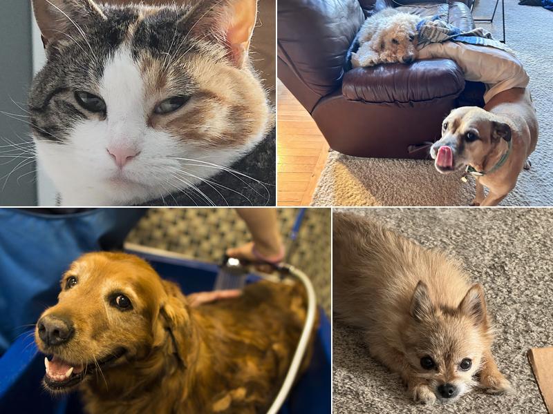 Summers Ridge Veterinary Clinic