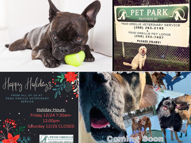 Pend Oreille Veterinary Services: Fineman Mark DVM