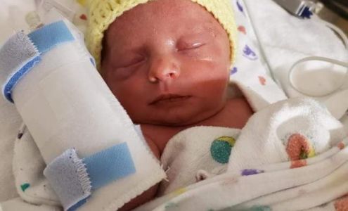 Meadow Creek Veterinary Clinic McAllister