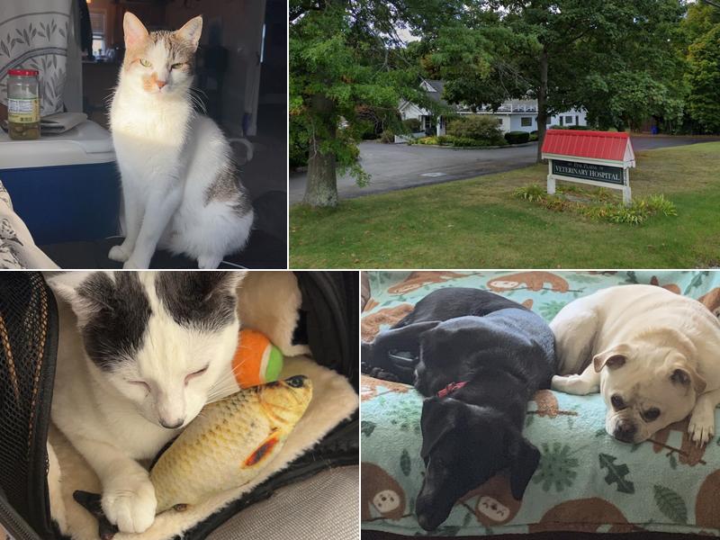 Pine Plains Veterinary Hospital