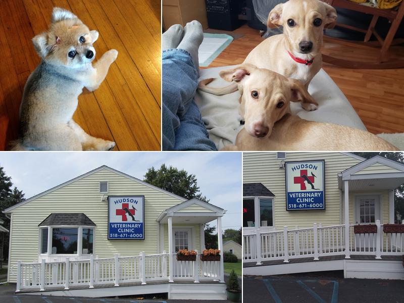 Hudson Veterinary Clinic