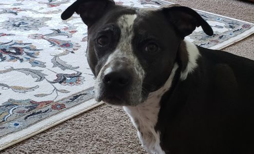 Fairland Veterinary Hospital Fairland