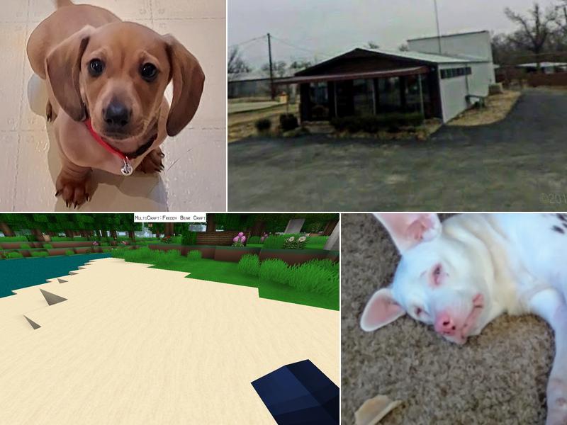 Jay Veterinary Clinic