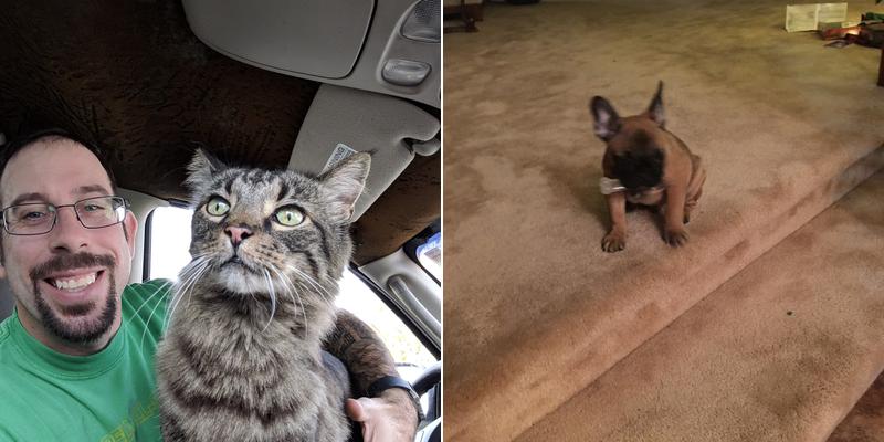 Novak Rinker Veterinary Clinic