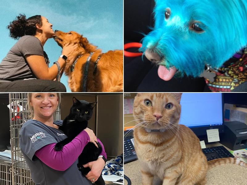 Osage Animal Hospital: Rhodes Cheri DVM