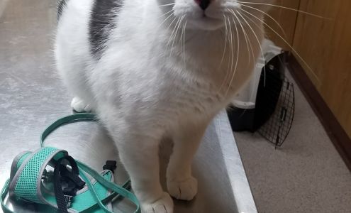 Makotah Veterinary Center