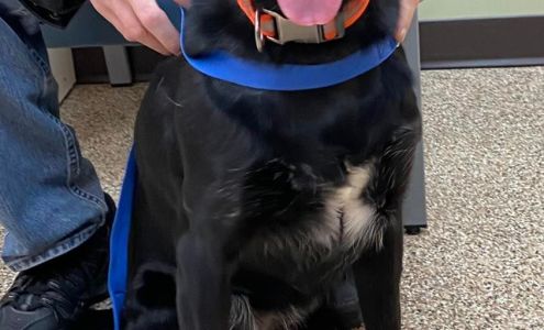 Clearwater Veterinary Services Ltd Lengby Minnesota 56651