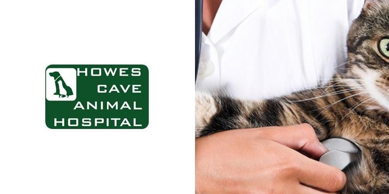 Howes Cave Animal Hospital: Atkinson Amber DVM