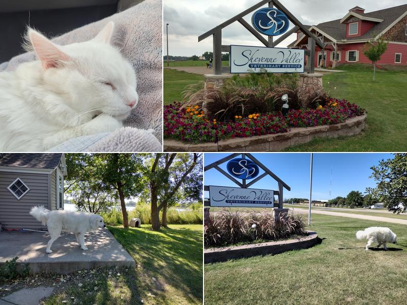 Sheyenne Valley Veterinary Services