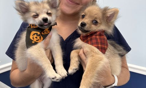 Long Branch Animal Hospital