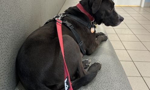 Seymour Animal Hospital Seymour