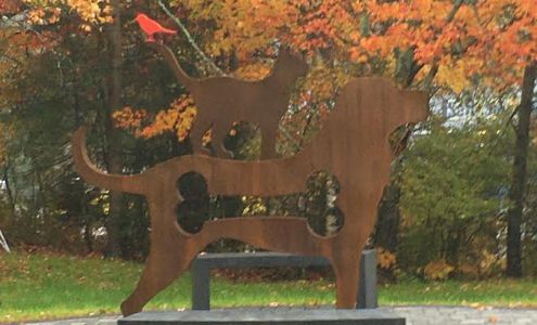 Small Animal Clinic Ellsworth