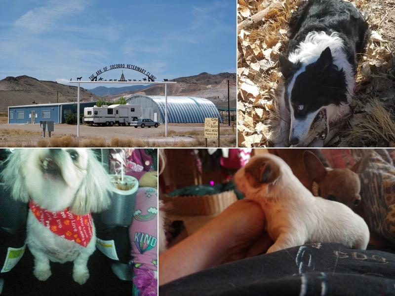 Ark Of Socorro Veterinary Clinic