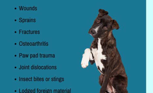 Emporia Veterinary Hospital: Mendoza Richard DVM Emporia