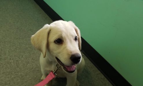 Town & Country Animal Care Inc 3150 Main St, Marlette Michigan 48453