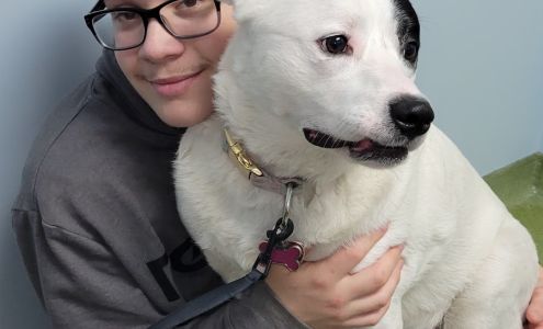 Dr. Cook DVM, CVA Crozet