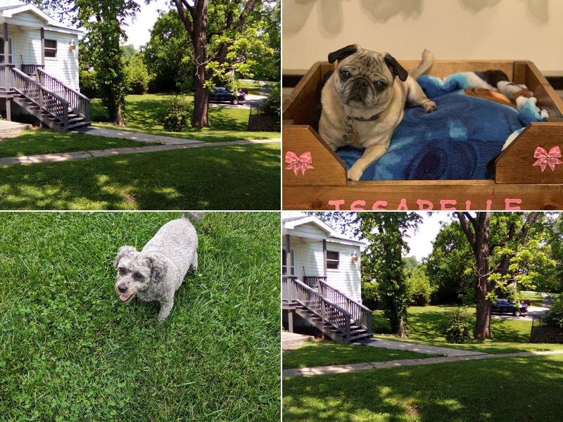 Skinner Rusty Lee DVM