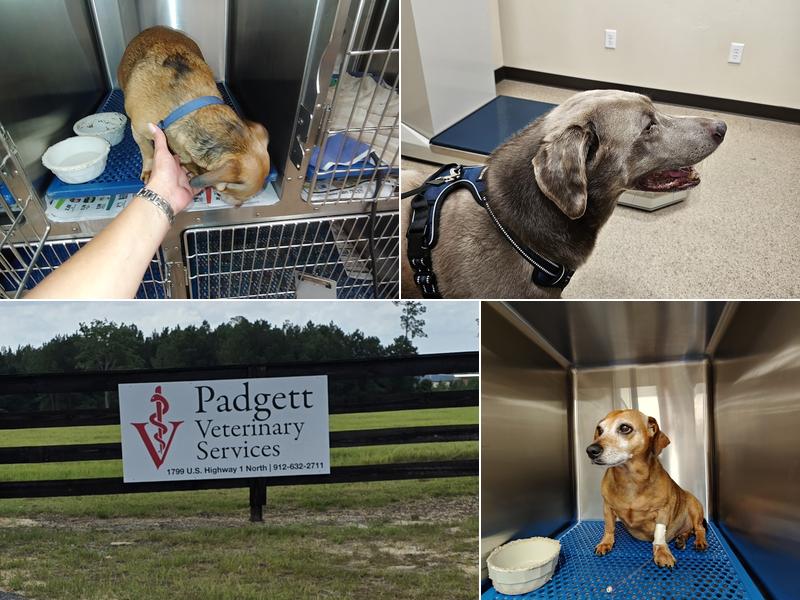 Padgett Veterinary Services
