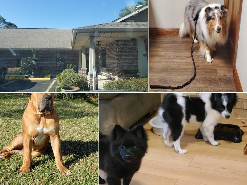 Picayune Veterinary Clinic