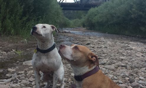 Mountain Home Veterinary Clinic Howard