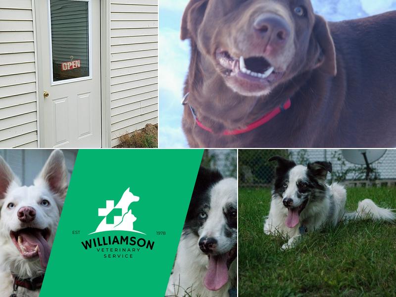Williamson Veterinary Service