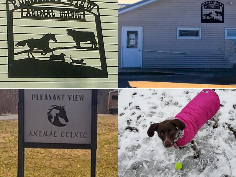 Pleasant View Animal Clinic: Gilbert G C DVM