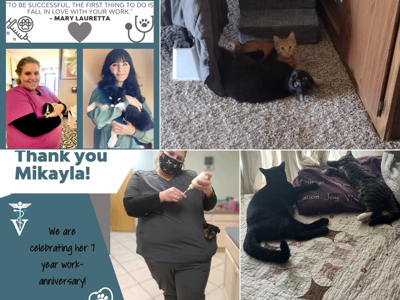 Suburban Animal Clinic of Monroe