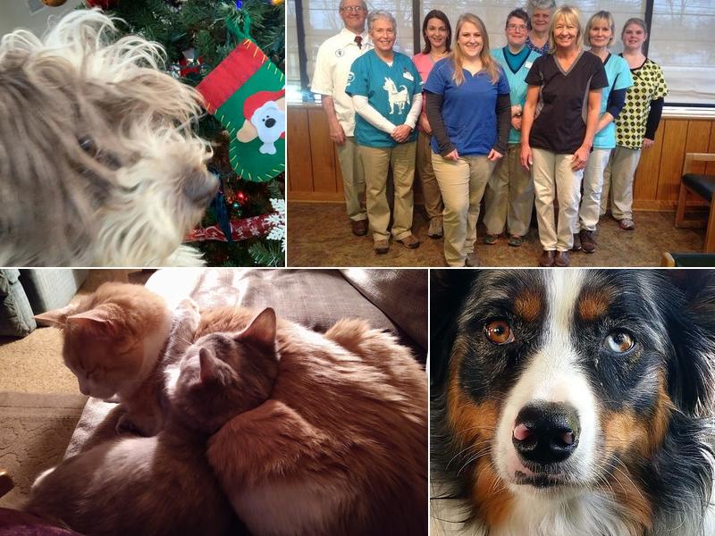 Adrian Animal Clinic