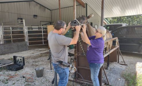 Mitchell Veterinary Clinic