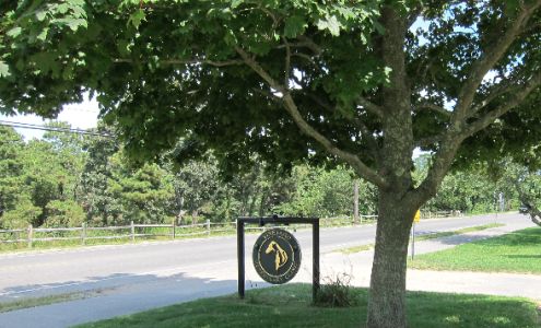 Vineyard Veterinary Clinic 276 Edgartown-Vineyard Haven Rd, Edgartown Massachusetts 02539