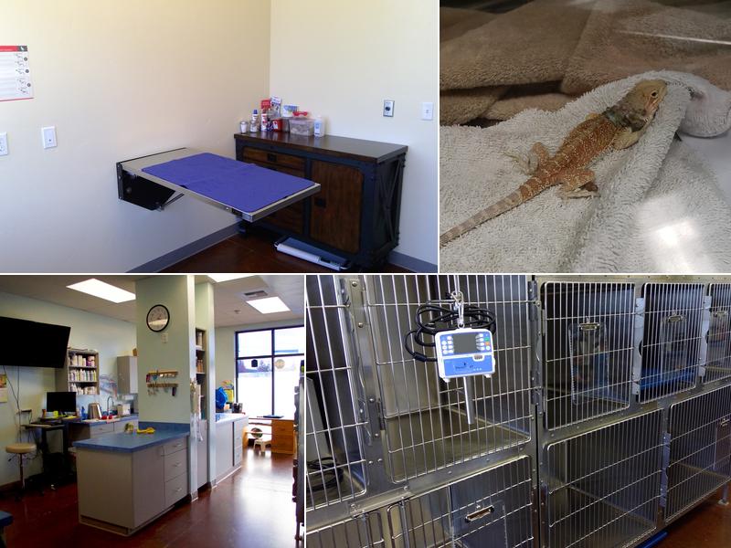 Mountain View Animal Hospital