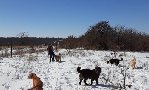 Rush Springs Veterinary Services