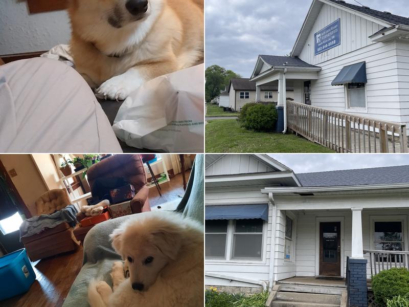 North Central Mo Vet Services