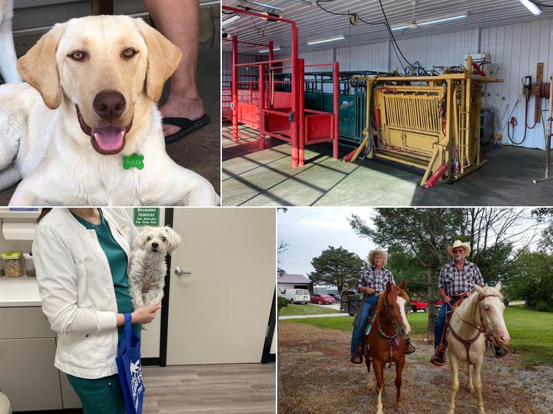 Young Veterinary Clinic