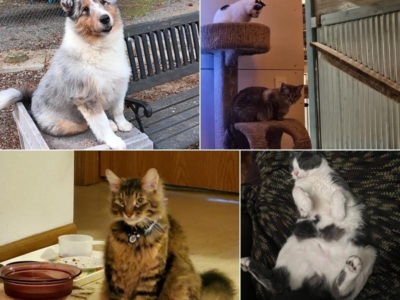 Ste. Genevieve Veterniarian Clinic