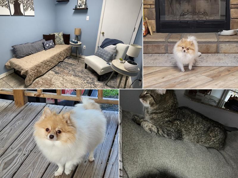 Hillside Veterinary Clinic