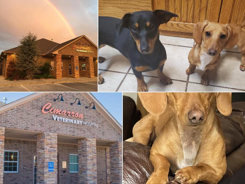 Cimarron Veterinary Hospital