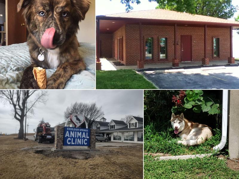 Excelsior Springs Animal Clinic