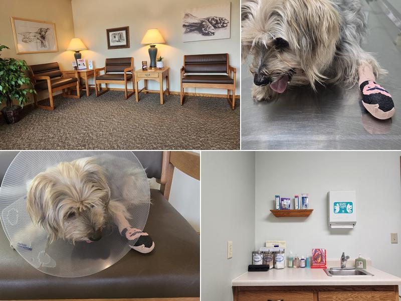 Coon Rapids Pet Hospital