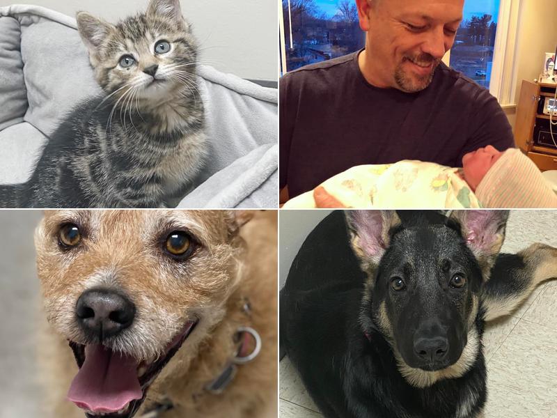 West Side Animal Hospital: Cunningham D E DVM