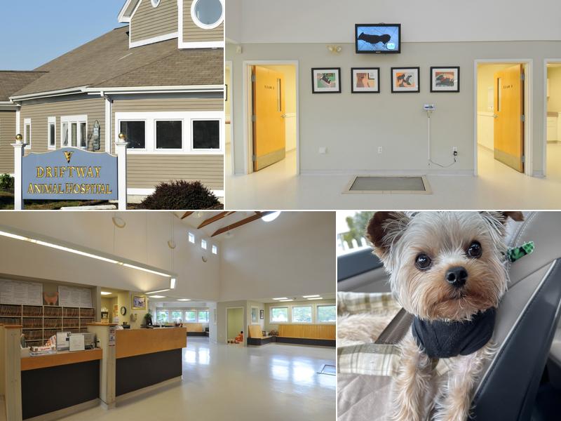 Driftway Animal Hospital