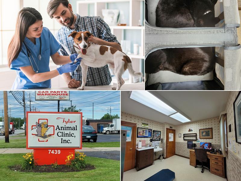 Tyler Animal Clinic