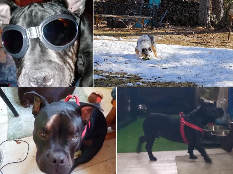 Mc Gregor Veterinary Clinic