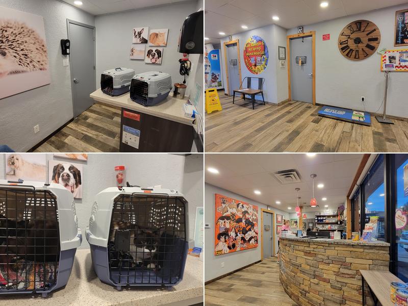 Lake Hamilton Animal Hospital: Kessler Stephanie DVM