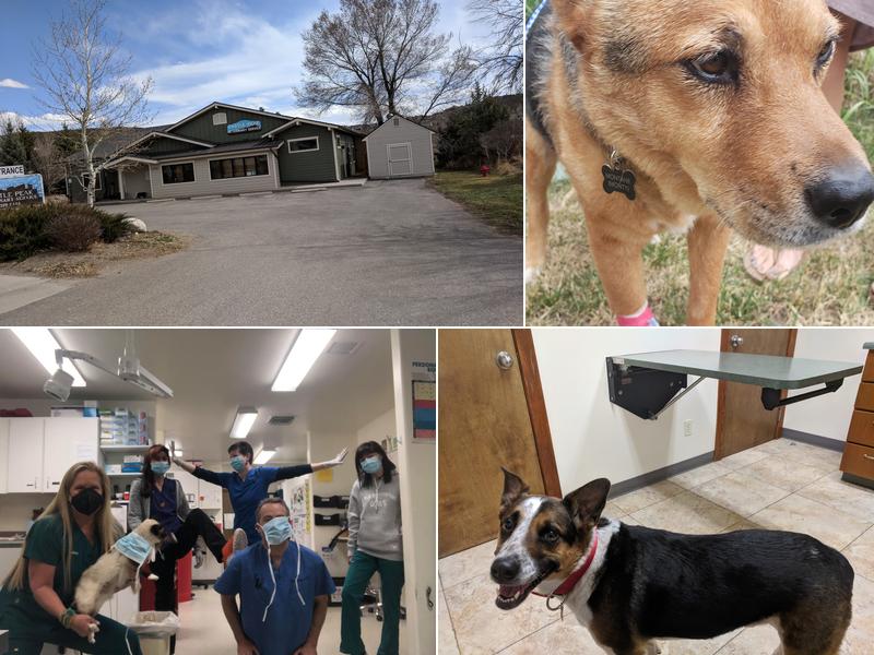 Castle Peak Veterinary Service