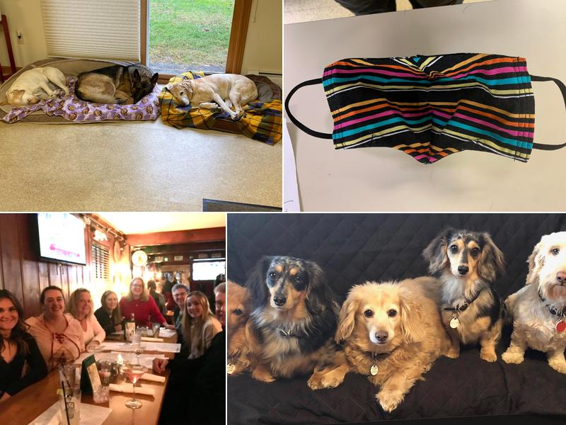 Winter Harbor Veterinary Hospital