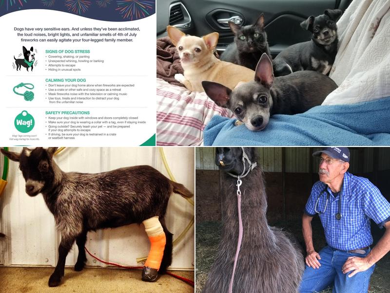 Sorensen-Intermountain Veterinary Hospital