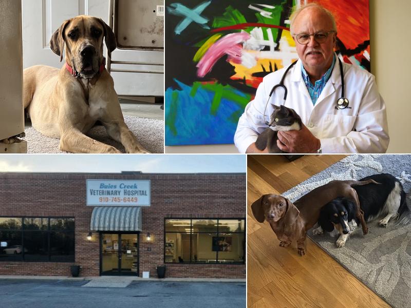 Buies Creek Veterinary Hospital and Dental Clinic
