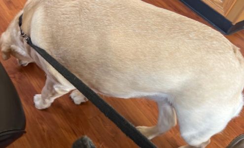 Dr. Paul G. Malocha Angier