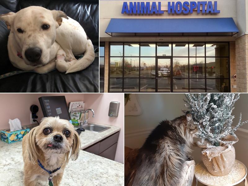 Republic Animal Hospital